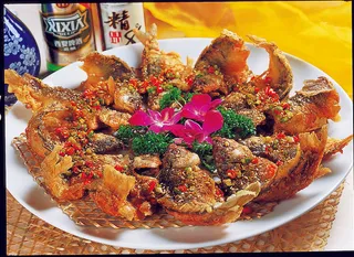 96LC-570竹网鲫鱼