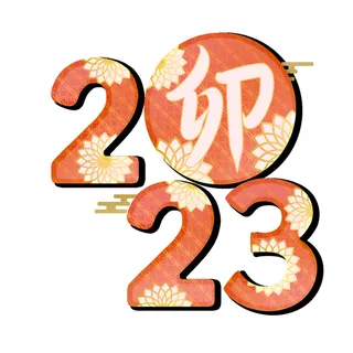 2023年红色兔年数字