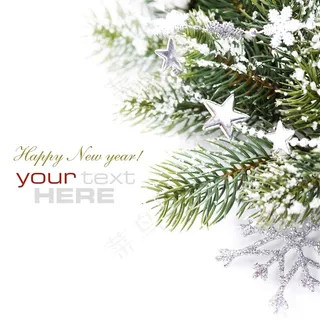 圣诞节松枝和五角星背景 圣诞节松枝和五角星背景