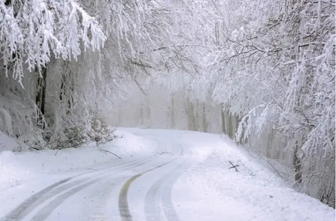 冬天白雪背景风景 冬天白雪背景风景