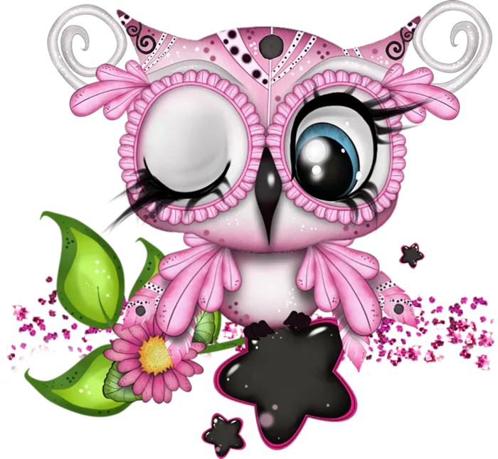 猫头鹰可爱
