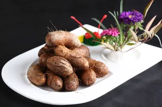 L02131长生不老果 (5)