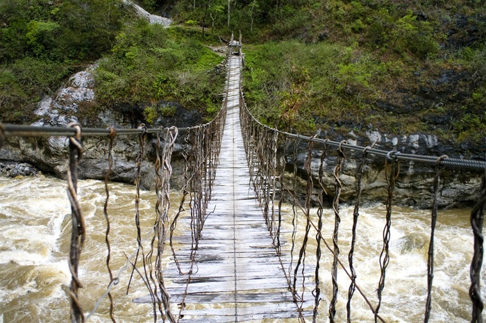 原始丛林风景高清图片