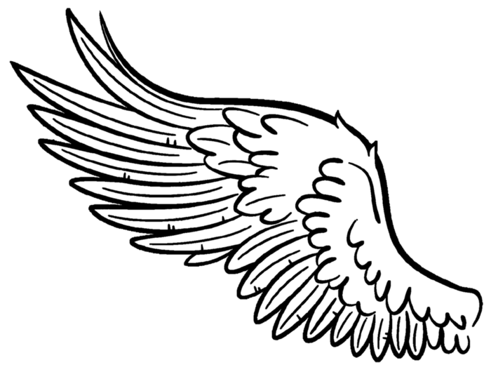 线条翅膀简笔