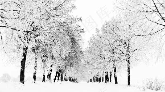 大雪在下