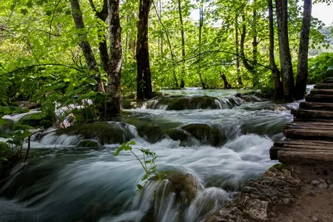 森林河流风景图片 森林河流风景图片
