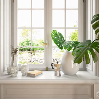 小清新窗台绿植特写近景场景(3)