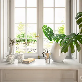 小清新窗台绿植特写近景场景(3)