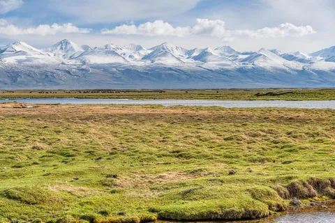 巴音布鲁克湿地