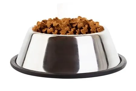 狗粮 PNG免抠(450x300)