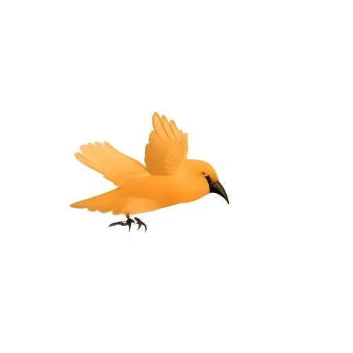 鸟免抠(2048x2048)