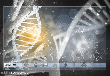 显微镜生物图片 显微镜生物图片