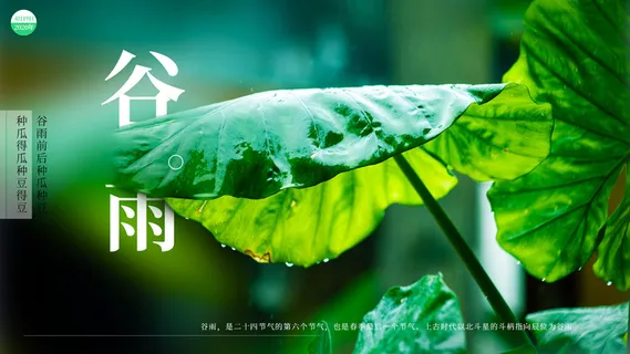谷雨二十四节气海报设计