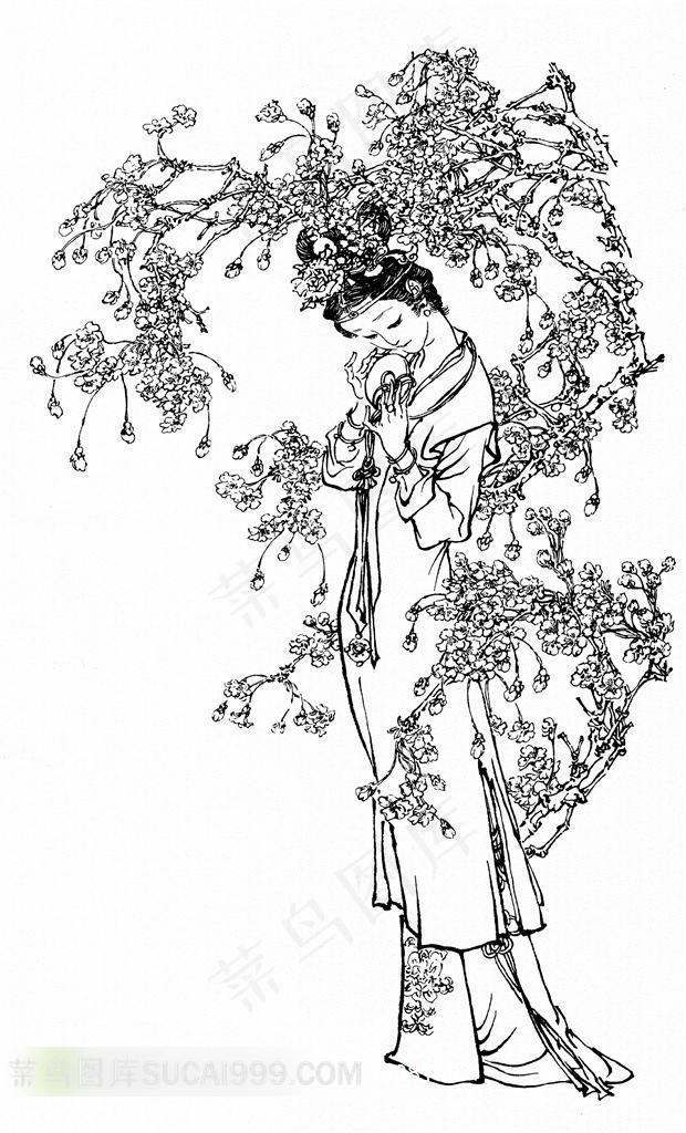 红楼梦人物二姐设计素材