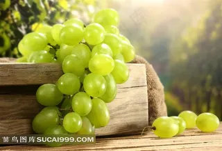 阳光下的青葡萄和木箱