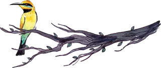 简约风手绘素描动画小鸟鸟儿免扣PNG图片素材 (63)