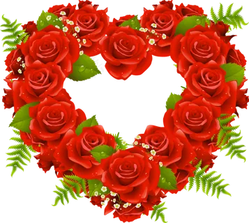 玫瑰 红色 红玫瑰 玫瑰花 花朵 鲜花特写 免抠 花圈