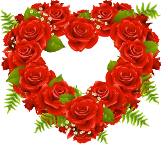 玫瑰 红色 红玫瑰 玫瑰花 花朵 鲜花特写 免抠 花圈