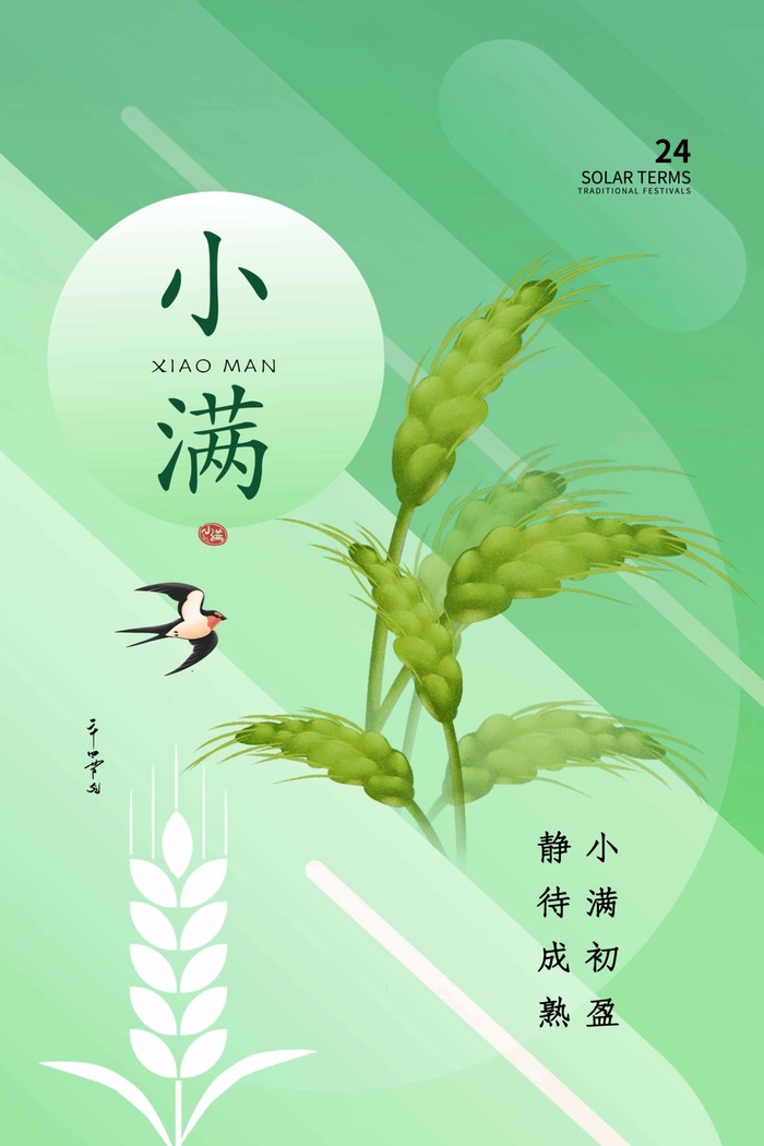小满 小满活动宣传psd模版下载