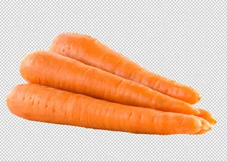 胡萝卜免扣素材