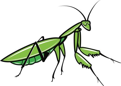 螳螂 PNG免抠(2398x1713)