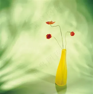 唯美瓶中鲜花