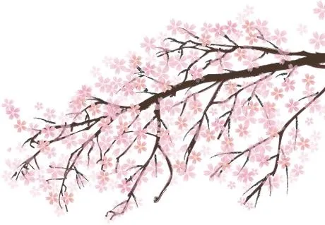 樱花 PNG免抠(460x319)
