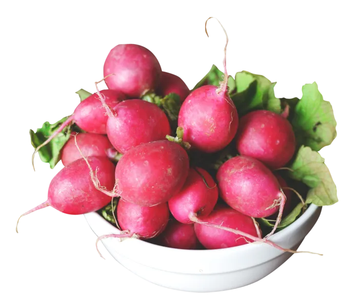 紫萝卜圆形