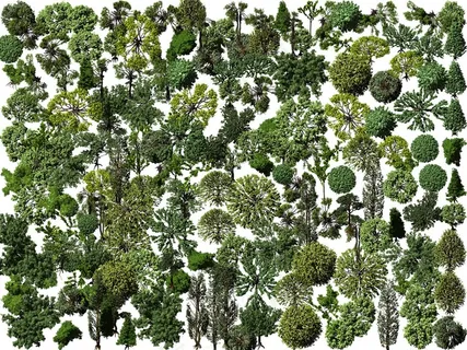 园林景观外景高清鸟瞰植物分层素材