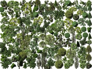 园林景观外景高清鸟瞰植物分层素材