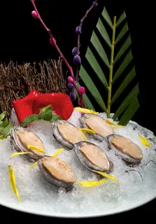 大连活鲍鱼（大连産鮑） 