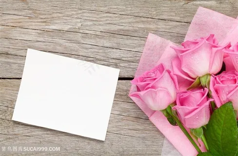 高清卡片粉色玫瑰花花束鲜花图片 高清卡片粉色玫瑰花花束鲜花图片