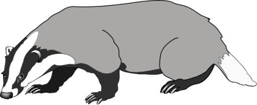 獾 PNG(600x246)