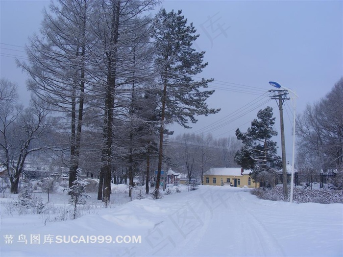 山林冬雪摄影图片