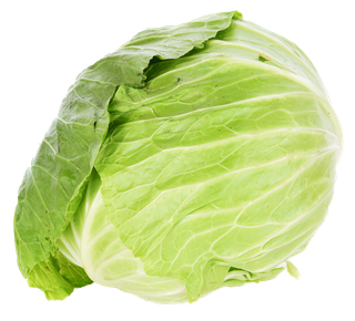 包菜 (22)超市商品白底图免抠实物摄影png格式图片透明底