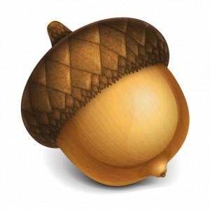 橡子PNG图像，免费，橡子免抠(300x300)