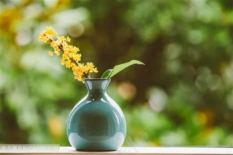清新唯美桂花 清新唯美桂花