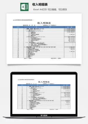 收入明细表excel模板