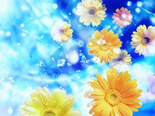 图片设计素材背景鸟语花香