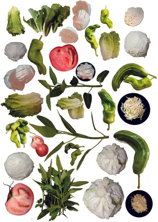 蔬菜免抠摄影元素素材