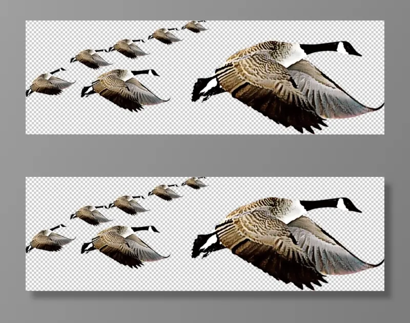 大雁免扣素材psd模版下载