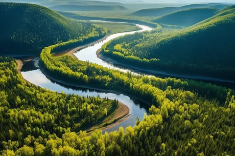 山川森林里蜿蜒的河流摄影图