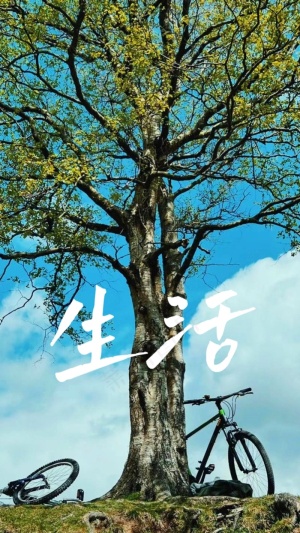 清新夏日骑行