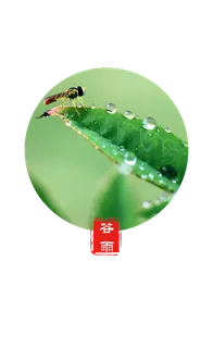 谷雨字体插画  谷雨字体插画