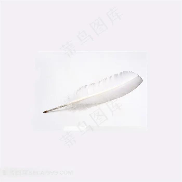纯白的羽毛毛笔