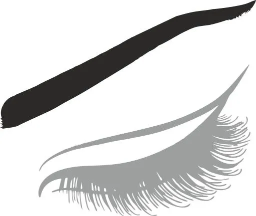 睫毛 PNG免抠(1920x1624)