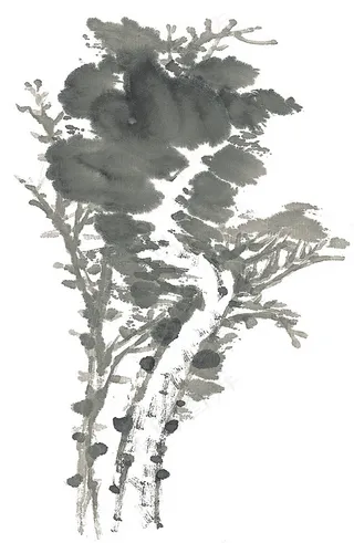 树工笔美图素材