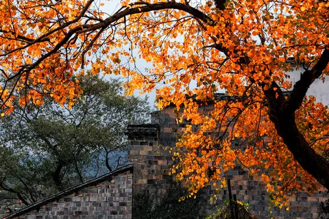 安徽塔川风景图片-第4张 安徽塔川风景图片-第4张