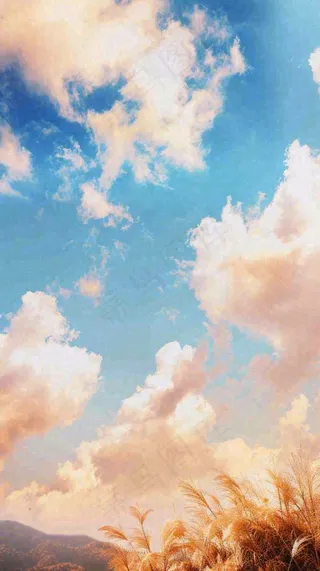 秋天蓝天户外芦苇草，立秋秋分摄影图