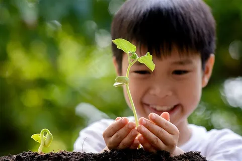 双手里的树苗植物素材高清图片 双手里的树苗植物素材高清图片